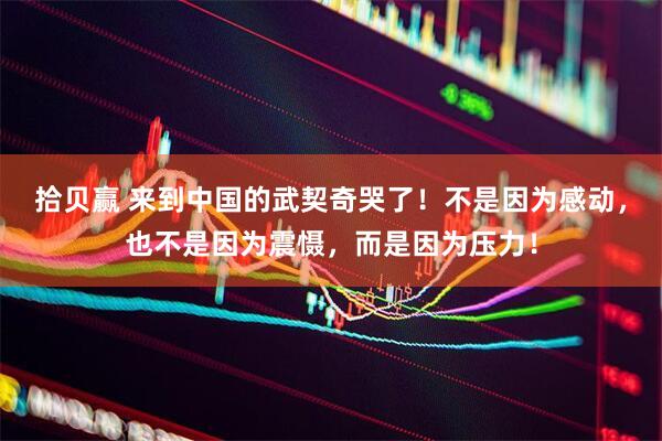 拾贝赢 来到中国的武契奇哭了！不是因为感动，也不是因为震慑，而是因为压力！