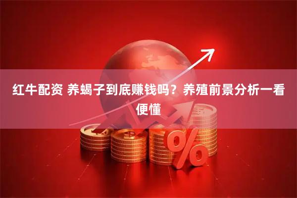 红牛配资 养蝎子到底赚钱吗？养殖前景分析一看便懂