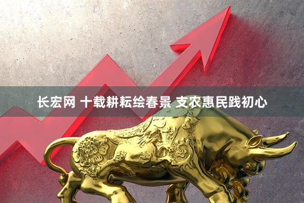 长宏网 十载耕耘绘春景 支农惠民践初心