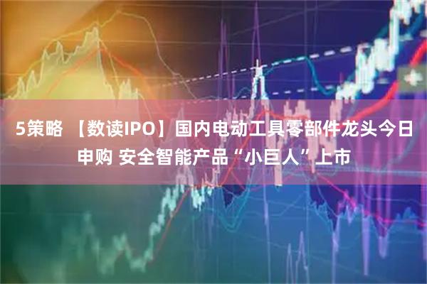 5策略 【数读IPO】国内电动工具零部件龙头今日申购 安全智能产品“小巨人”上市
