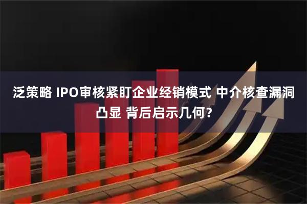 泛策略 IPO审核紧盯企业经销模式 中介核查漏洞凸显 背后启示几何？