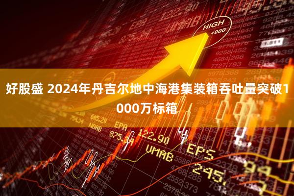 好股盛 2024年丹吉尔地中海港集装箱吞吐量突破1000万标箱