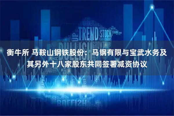 衡牛所 马鞍山钢铁股份：马钢有限与宝武水务及其另外十八家股东共同签署减资协议