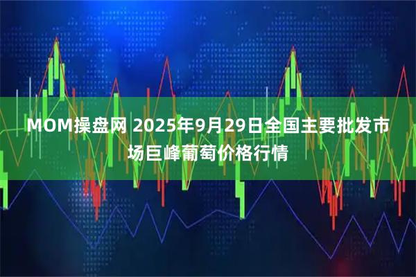MOM操盘网 2025年9月29日全国主要批发市场巨峰葡萄价格行情