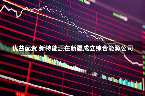 优益配资 新特能源在新疆成立综合能源公司