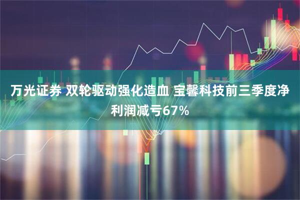 万光证券 双轮驱动强化造血 宝馨科技前三季度净利润减亏67%