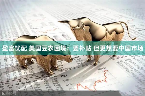 盈富忧配 美国豆农困境：要补贴 但更想要中国市场